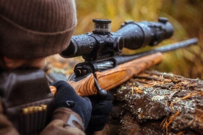 senapan dengan penglihatan teleskopik. berburu di hutan